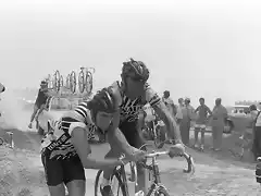 TOUR 1982-PAVES-HINAULT-PATRICK BONNET.