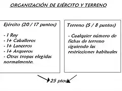 tabla organiz