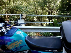 DSCN2317