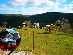 P1130167 P1130167