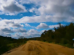 P1130173 P1130173