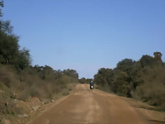 P1130137