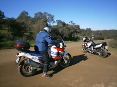 P1130139