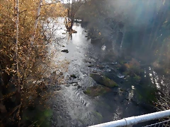 DSCN9409 DSCN9409