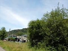 DSCN1175 DSCN1175