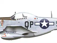 P-51d.04c