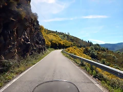 DSCN1006 DSCN1006