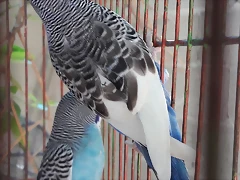 20170725_111437 20170725_111437