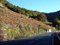DSCN6473 DSCN6473