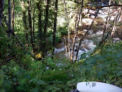 DSCN0180 DSCN0180