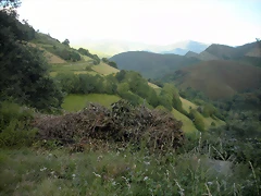 DSCN4305 DSCN4305