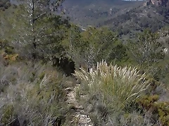 Olocau 10 Olocau 10