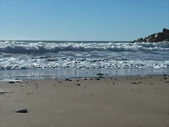 100_0003 100_0003
