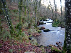 DSCN2089 DSCN2089
