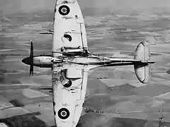 Supermarine_Spitfire_Mk.XII_4