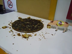 DSCN1836 DSCN1836