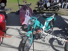 SDC10661 SDC10661