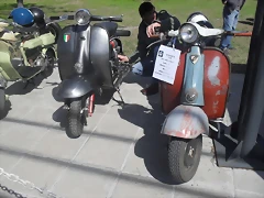 SDC10659 SDC10659