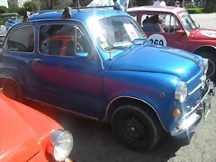 SDC10564 SDC10564