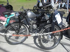 SDC10662 SDC10662