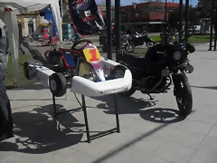SDC10666 SDC10666