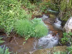 DSCN2107 DSCN2107
