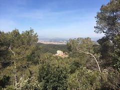 2015-04-03 12.06.38