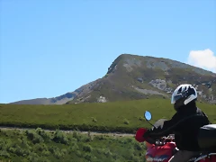 IMG_8036 IMG_8036