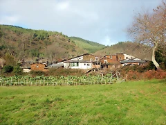 DSCN3272 DSCN3272