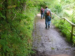 DSCN3813 DSCN3813