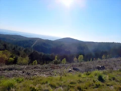 DSCN9034
