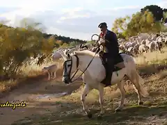 07, pastor a caballo, marca