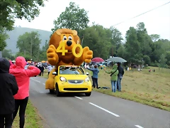 IMG_6920 IMG_6920