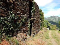 DSCN1520 DSCN1520