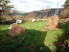 DSCN0931 DSCN0931