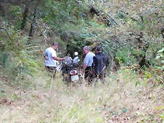 IMG_4537 IMG_4537