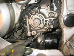 IMG_0296 IMG_0296