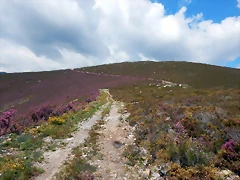 DSCN9535 DSCN9535