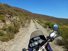 DSCN2623 DSCN2623