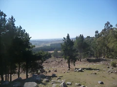 P1030065 P1030065