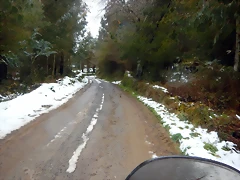 DSCN3045
