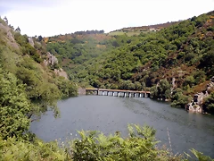 DSCN1214 DSCN1214