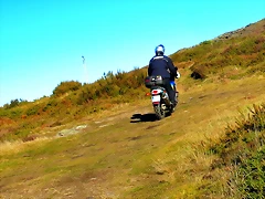 1-IMG_4374