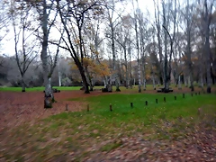 DSCN0778 DSCN0778