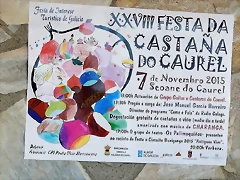 2 cartel 2 cartel