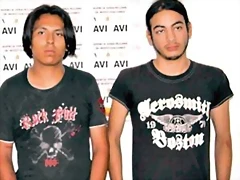 Indomestizo y harnizo