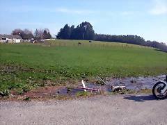 DSCN8129