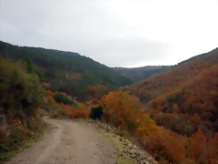 DSCN3097 DSCN3097