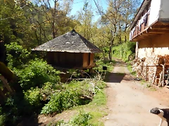 DSCN0074 DSCN0074