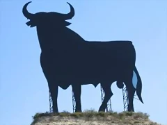 torrro torrro